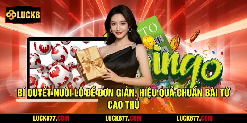 Bí Quyết Nuôi Lô Đề Đơn Giản, Hiệu Quả Chuẩn Bài Từ Cao Thủ