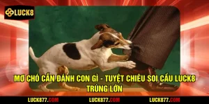 Mơ Chó Cắn Đánh Con Gì - Tuyệt Chiêu Soi Cầu LUCK8 Trúng Lớn