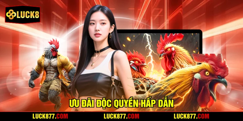 Ưu đãi độc quyền hấp dẫn