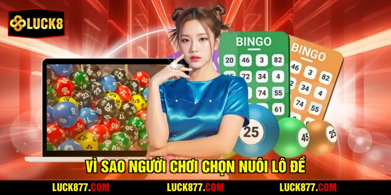 Vì sao người chơi chọn nuôi lô đề?